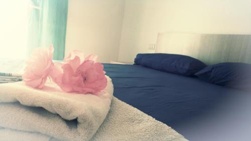 Hostal Vila Nino