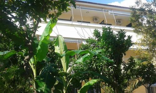 Hostal Vila Nino