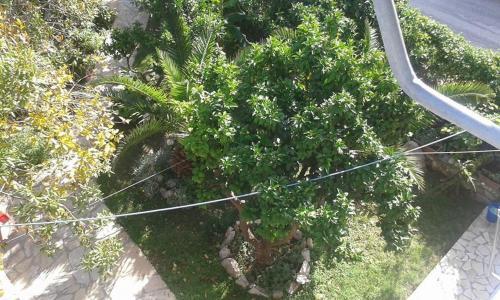 Hostal Vila Nino