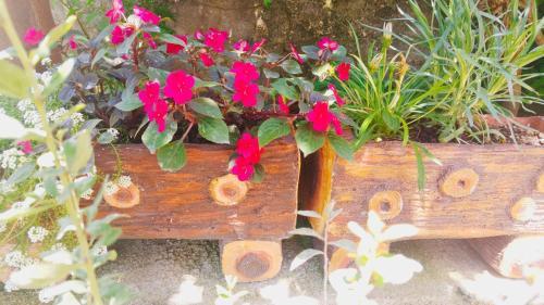 Hostal Vila Nino