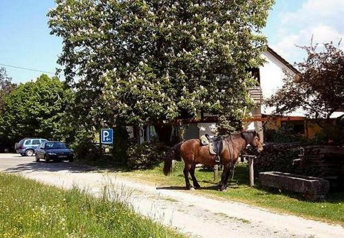 Hostal Gasthaus-pension Zum Brandweiher