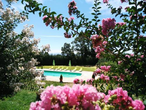 Hotel Alcor Del Roble