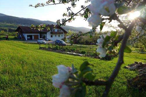 Agroturismo Ferienhof Pfeffer