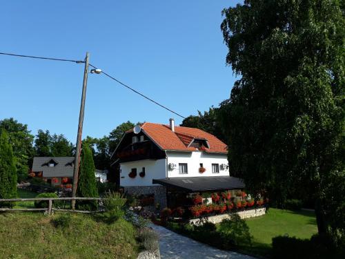 Hostal Pansion Breza