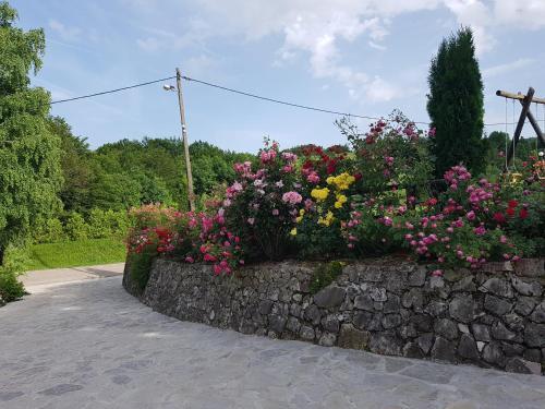 Hostal Pansion Breza