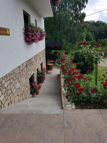 Hostal Pansion Breza