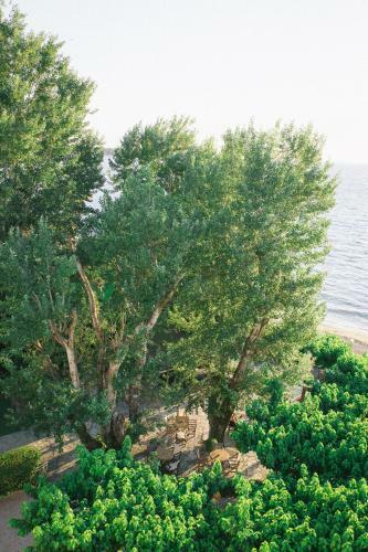 Hotel Tzaki