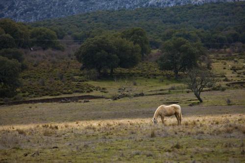 Agroturismo Tambor Del Llano