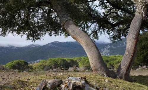 Agroturismo Tambor Del Llano