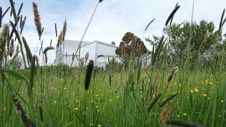 Hostal Eyvindarholt Guesthouse