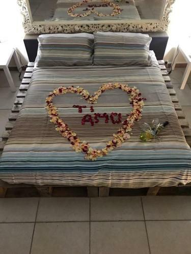 Bed & Breakfast Comeacasatua