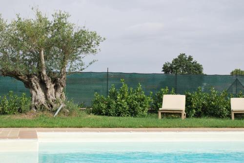 B&B Cuor Di Lavanda