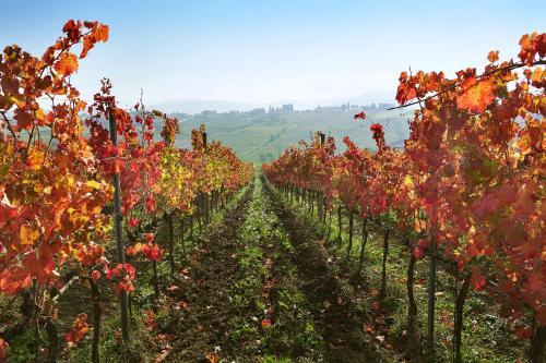 B&B Cuor Di Lavanda