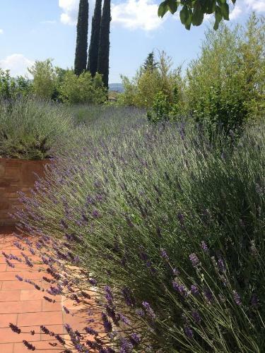 B&B Cuor Di Lavanda
