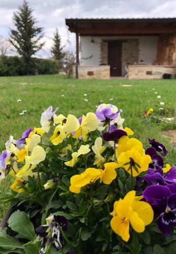 B&B Cuor Di Lavanda