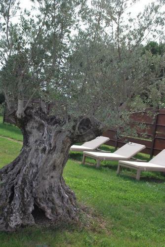 B&B Cuor Di Lavanda