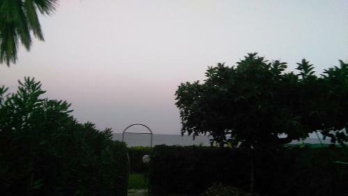 Apartamento Villa Tempio Di Apollo