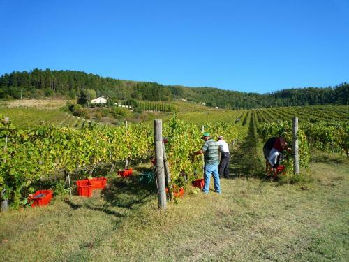 Apartamento Fattoria I Fratelli Giotto