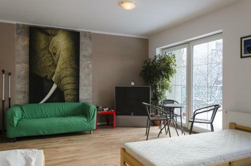 Hostel Kaktus