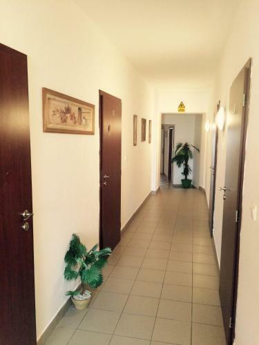 Hostal Penzi�n Stefarez New