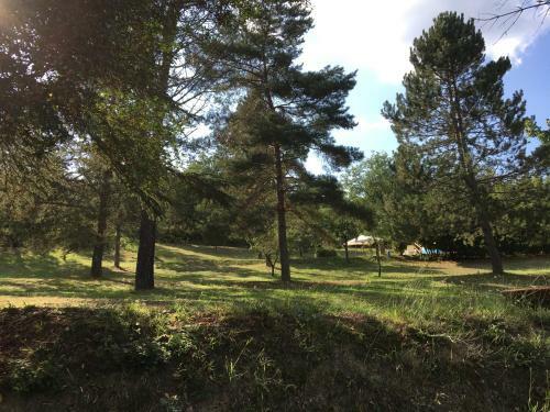 Villa Bacche Rosse