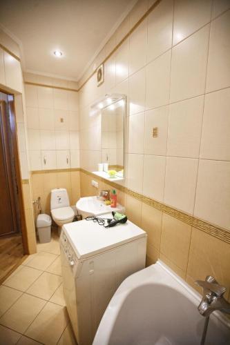 Apartment Snizhna 4