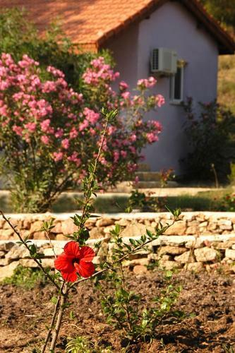 Rainbow Bay Ozdere Beach Hotel