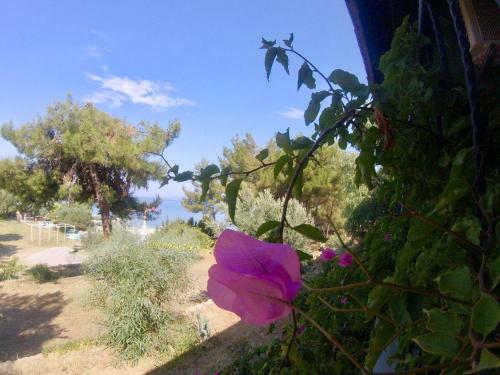Rainbow Bay Ozdere Beach Hotel