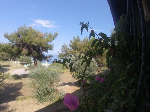Rainbow Bay Ozdere Beach Hotel