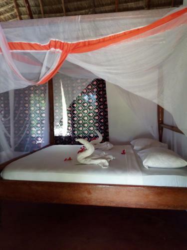 Hotel Mnana Lodge