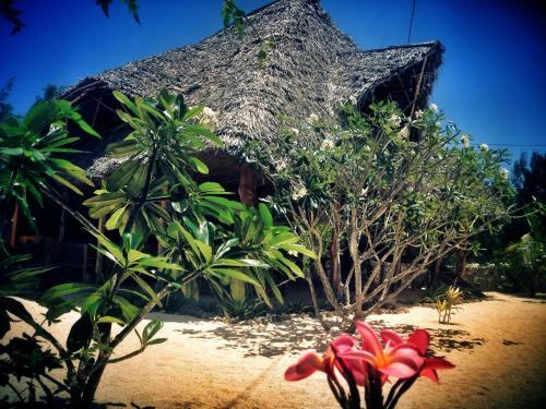 Hotel Mnana Lodge