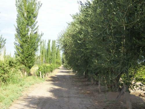Don Pablo Posada Rural