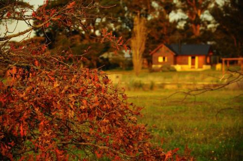 Agroturismo Cabanas El Yarquen