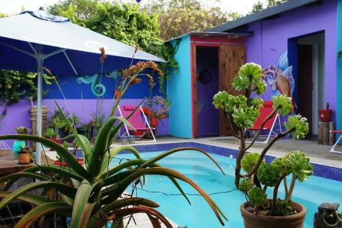 Albergue Cape Agulhas Backpackers
