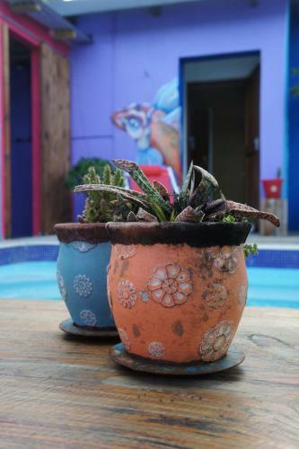 Albergue Cape Agulhas Backpackers