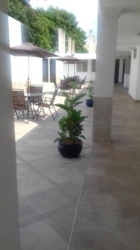Apartamentos Las Piloneras