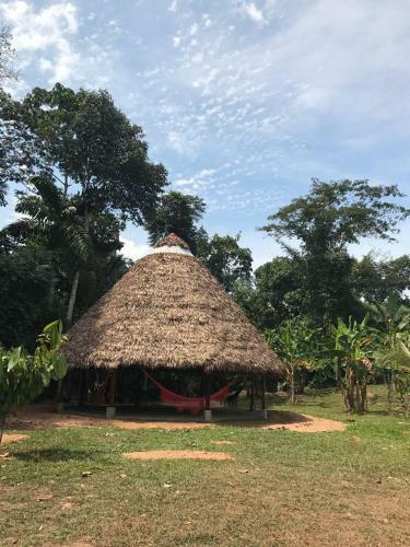 Lodge Collpas Tambopata Inn