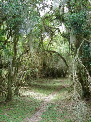 Agroturismo Aldeia Santuario Das Aves