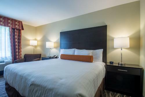 Hotel Cobblestone Inn And Suites - St Marys