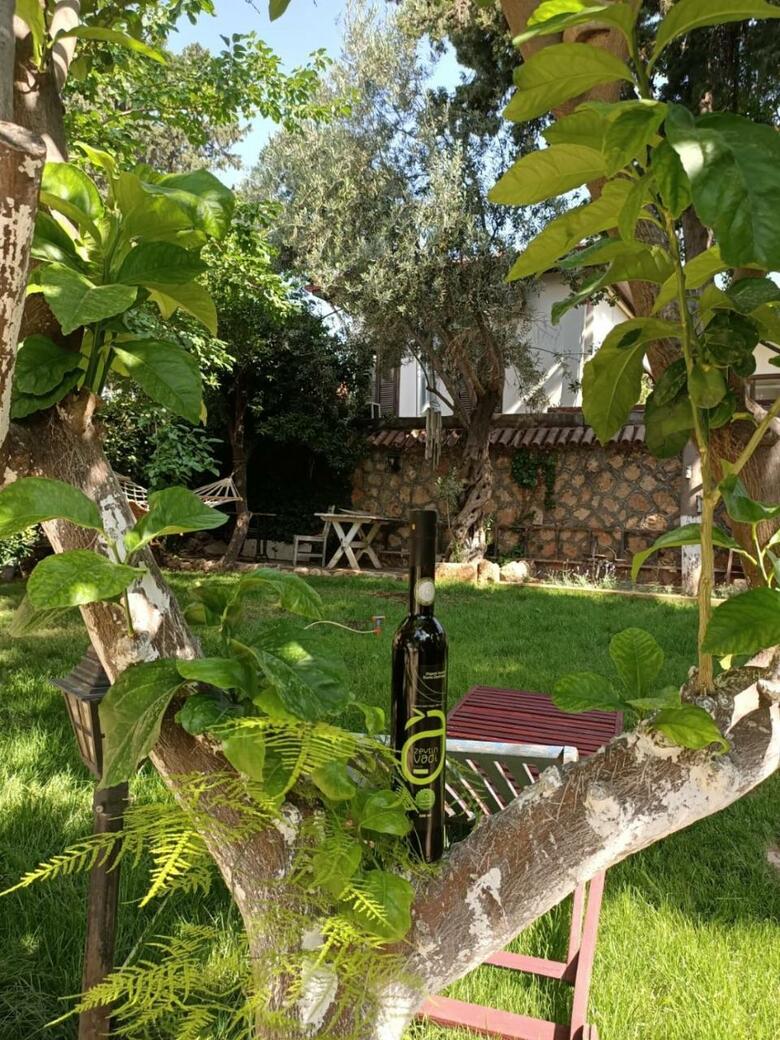 Albergue Hadrianus Hotel