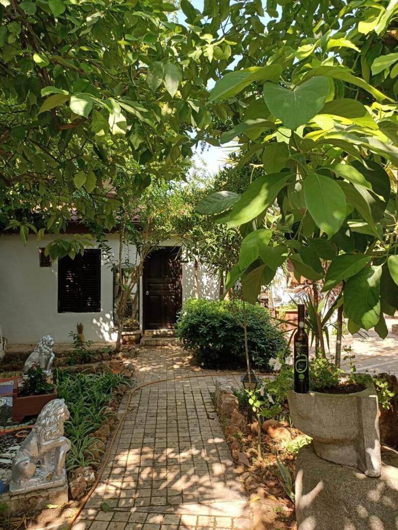 Albergue Hadrianus Hotel