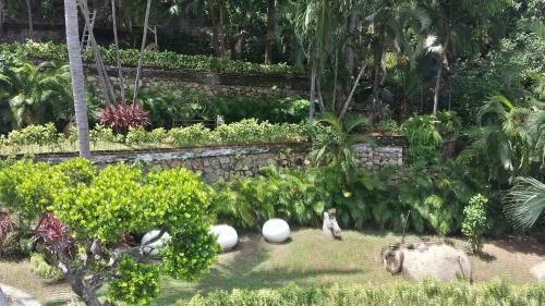 Villa Condesa