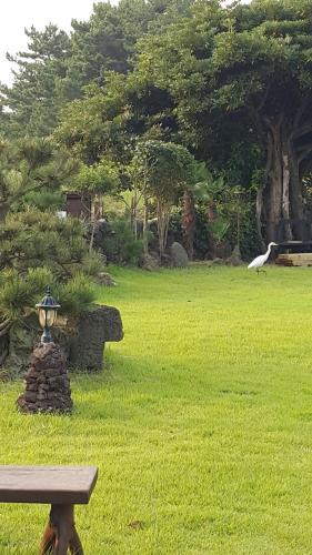 Ojori B&B