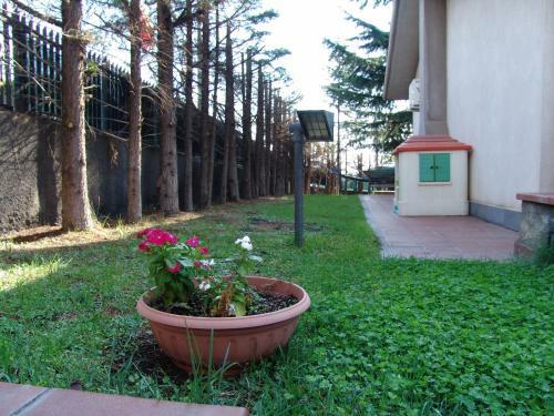 Hotel Magnolia B&B