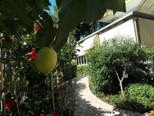 Hotel Abbazia