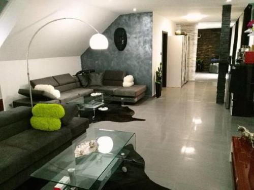 Villa Star House