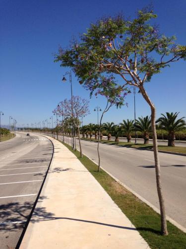Apartment Murcia