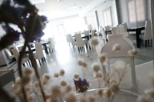 Hotel Dulcinea