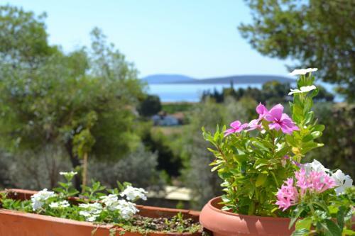 Alexandros Apartments