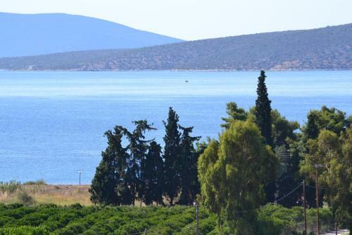 Alexandros Apartments